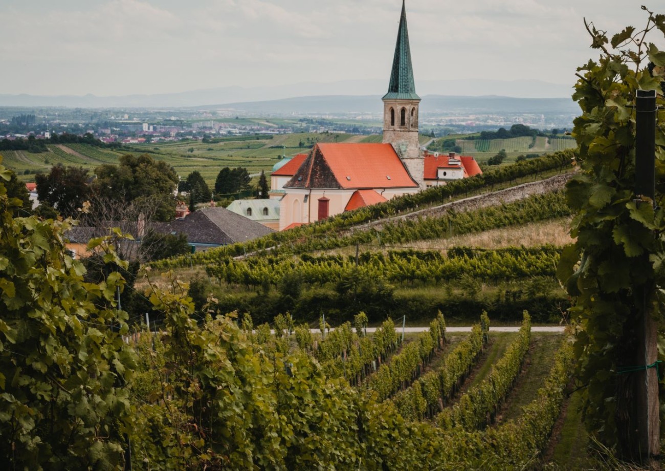 Wunderschöne Landschaft in Gumpoldskirchen