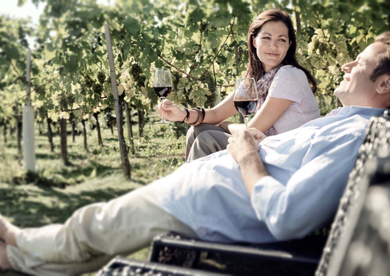 Wein trinken mitten in den Weinreben in Niederösterreich