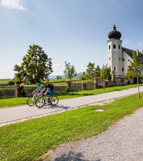 Mountain bike rider in Gumpoldskirchen © shutterstock.com