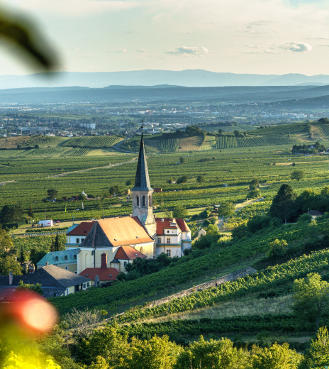 Traumhafte Lage mitten in den Weinbergen von Österreich