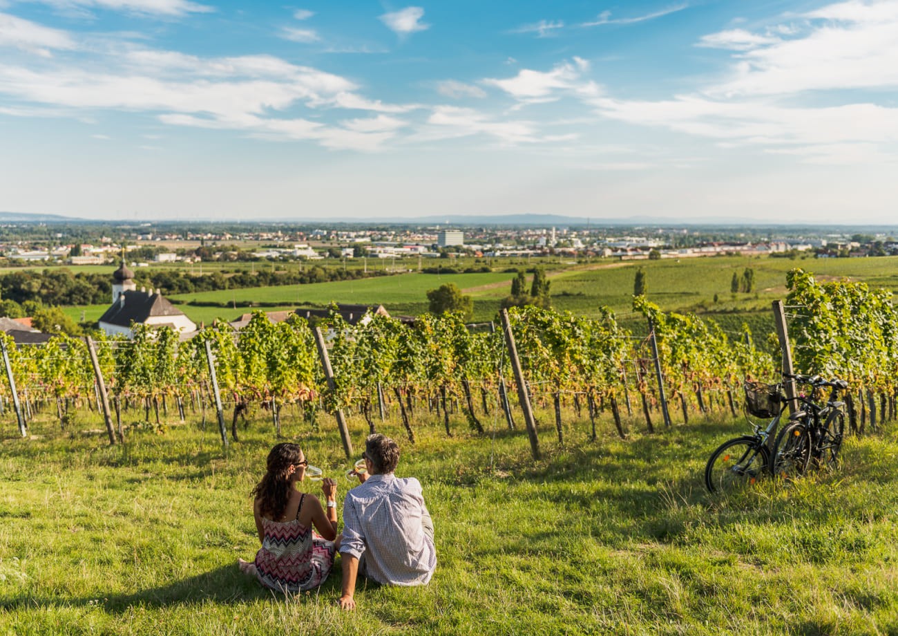 Paar in den Weinbergen © Christian Dusek