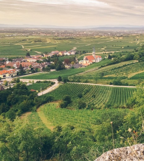 Dreamlike surroundings in the vineyards for contemplation and productivity