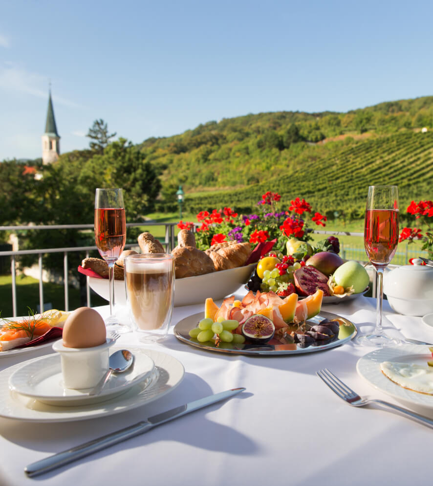 Reichhaltiges Frühstück mit Blick auf die umliegenden Weinberge im Wienerwald