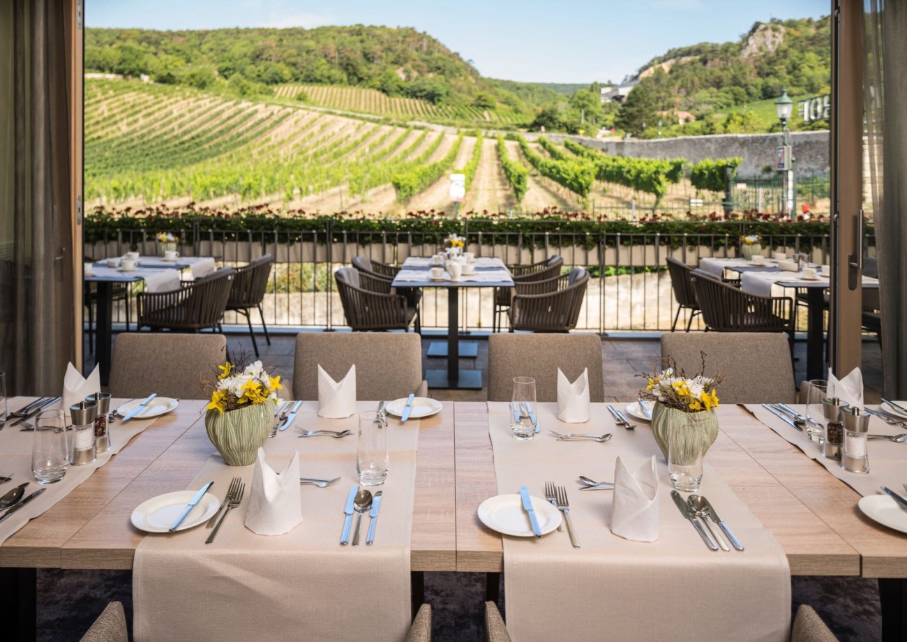 Reichhaltiges Frühstück mit Blick auf die umliegenden Weinberge