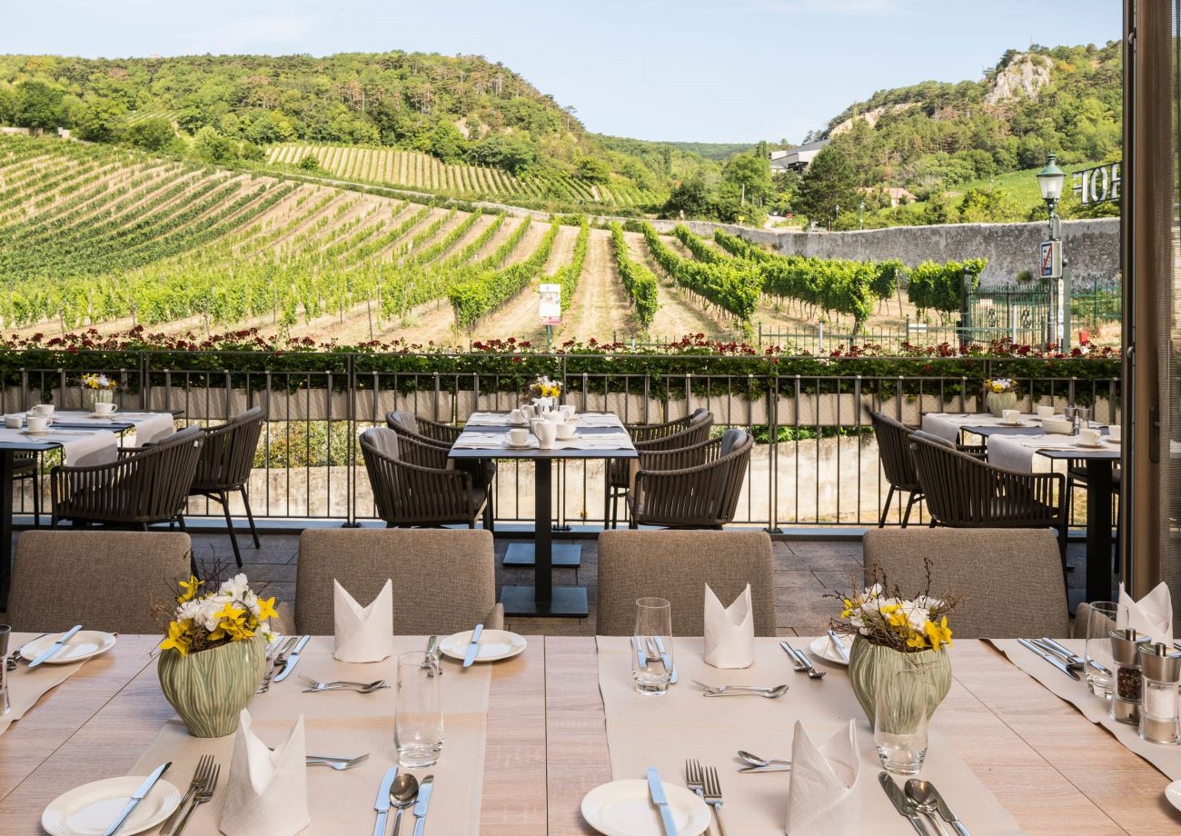 Der Frühstücksraum bietet einen herrlichen Ausblick auf die Weinberge