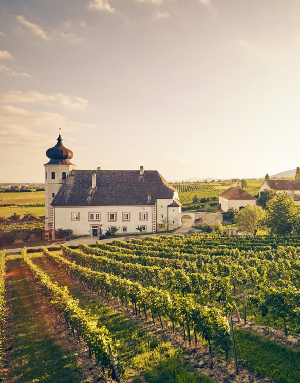 Klostergasthaus Thallern © Niederösterreich Werbung / Andreas Hofer